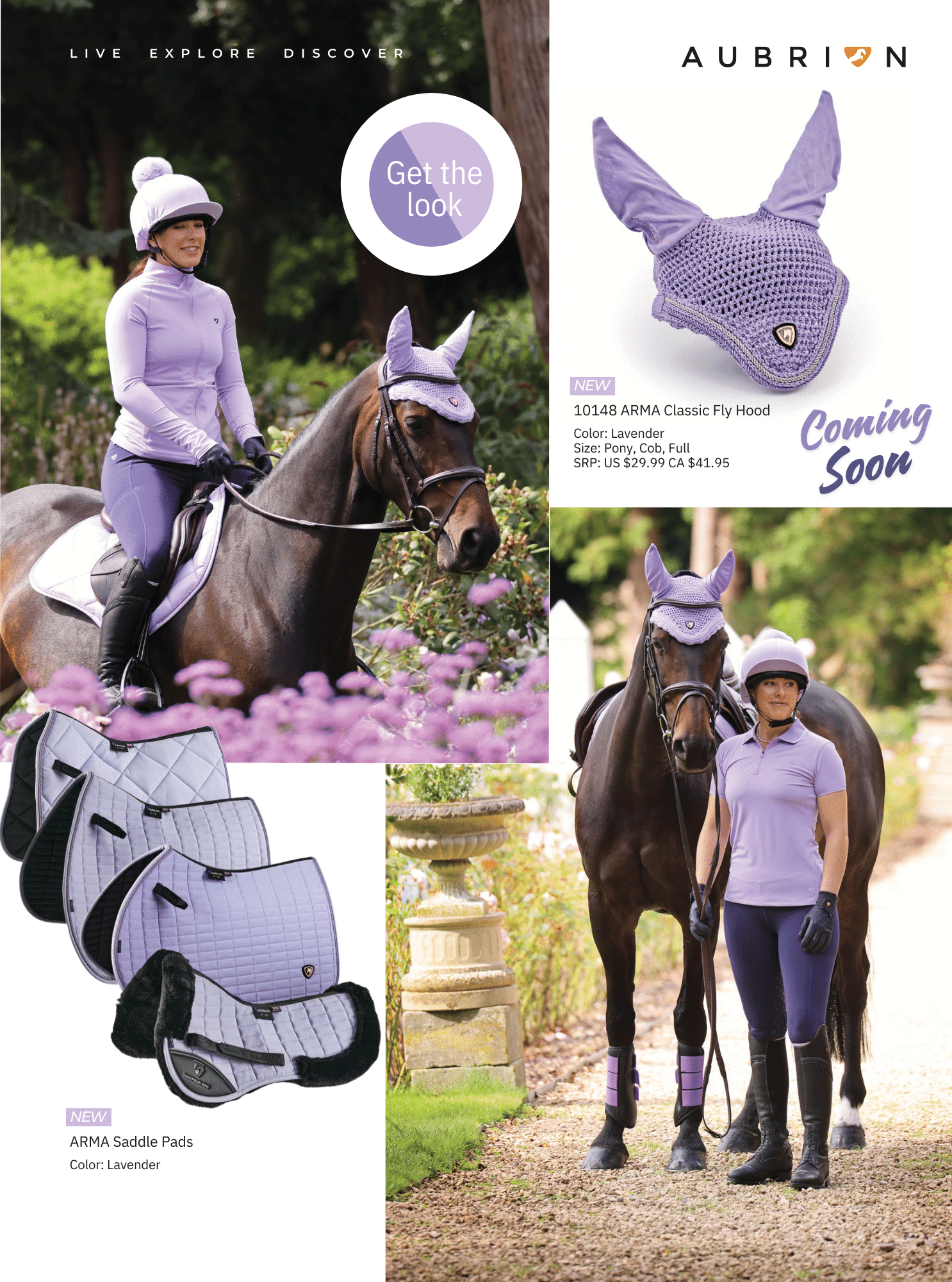 Shires Colorway - Lavender