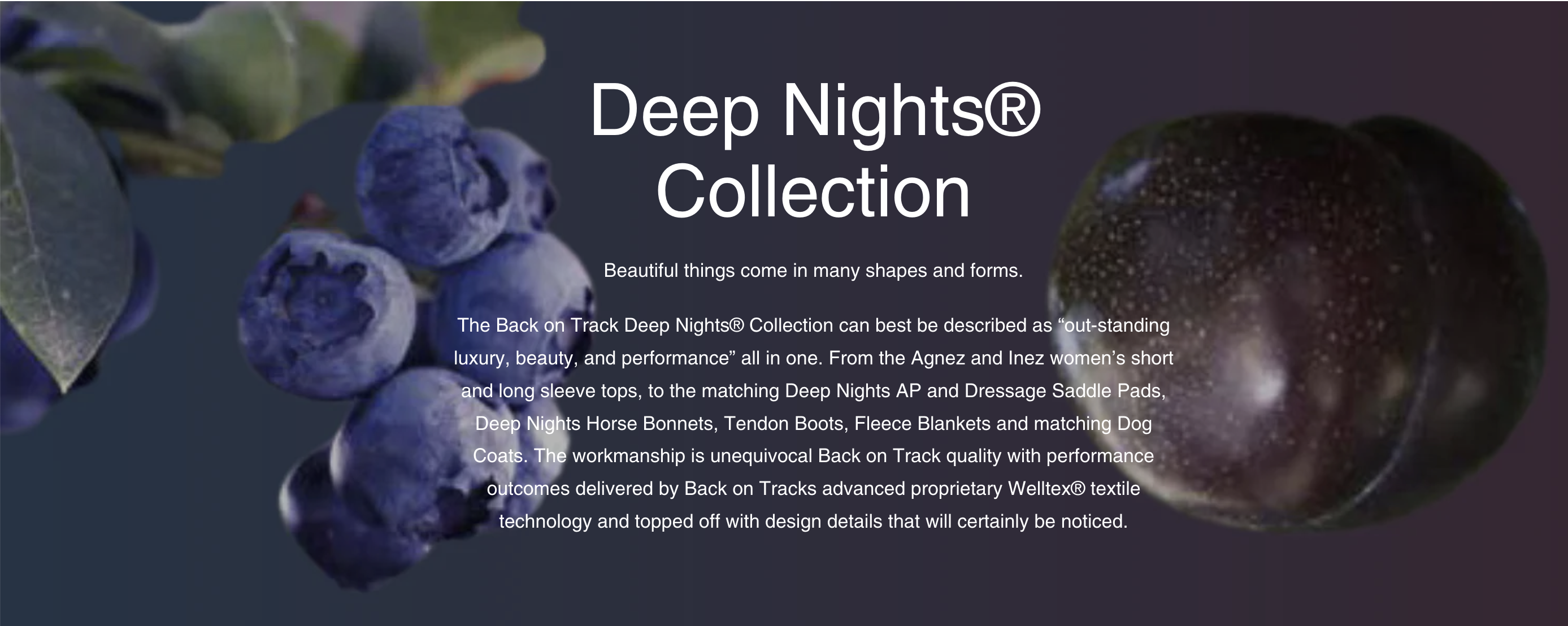 Back on Track Deep Nights