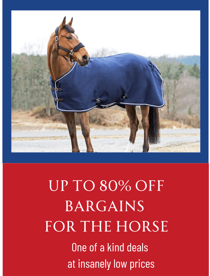 For the Horse