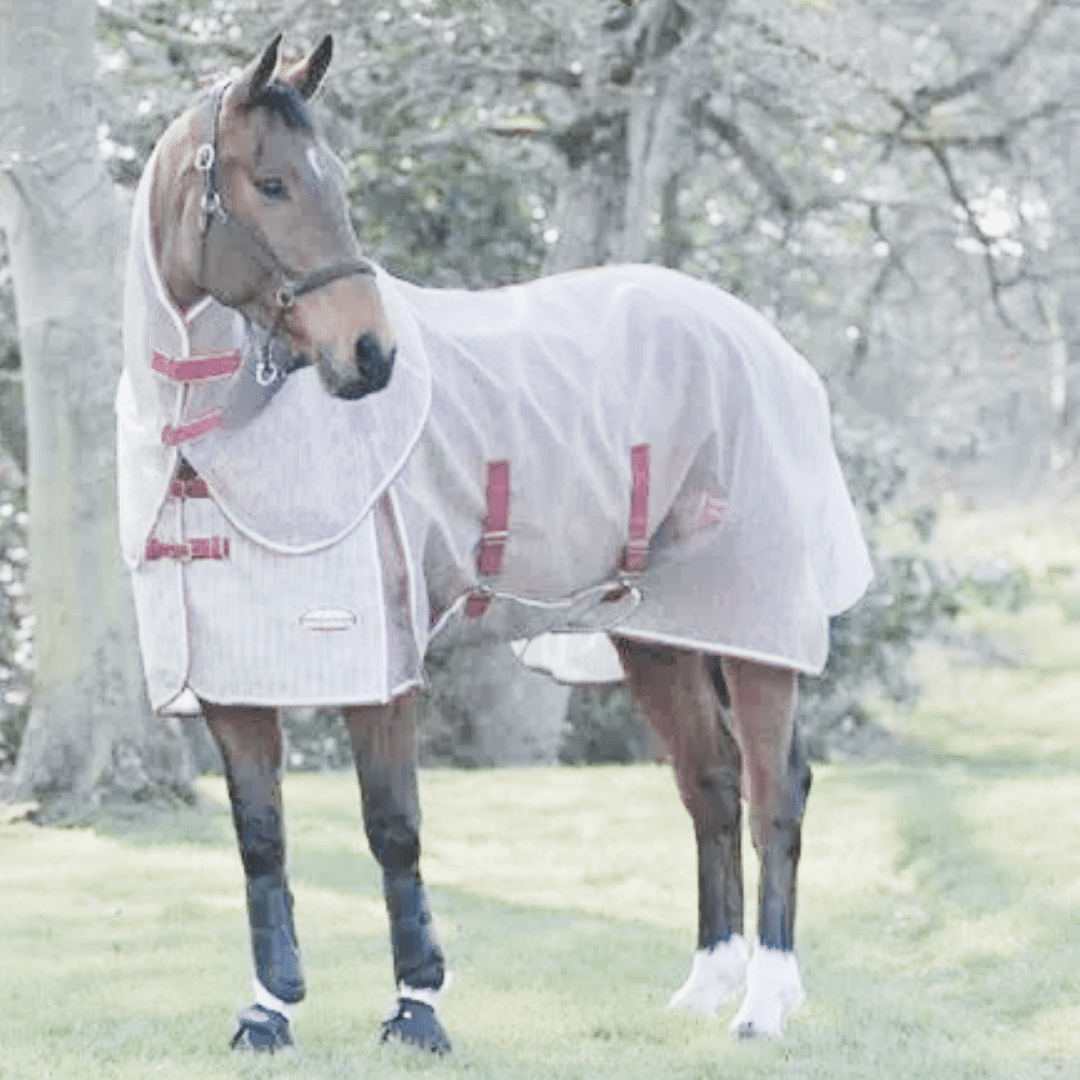 bargain Fly Protection