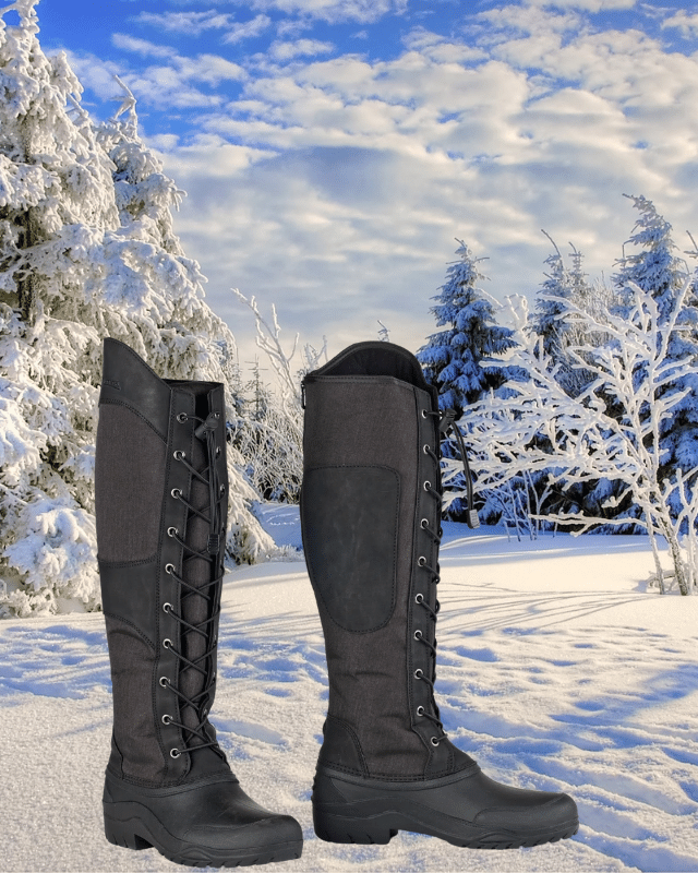 Shop for the Ovation Women's Kimberley Tall Winter Rider Boots