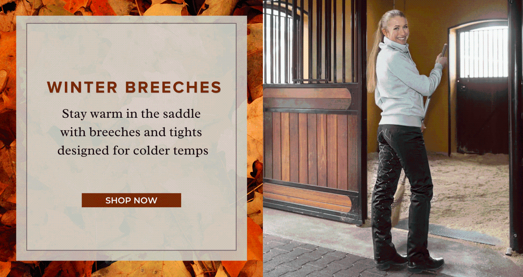 Winter Breeches & Tights