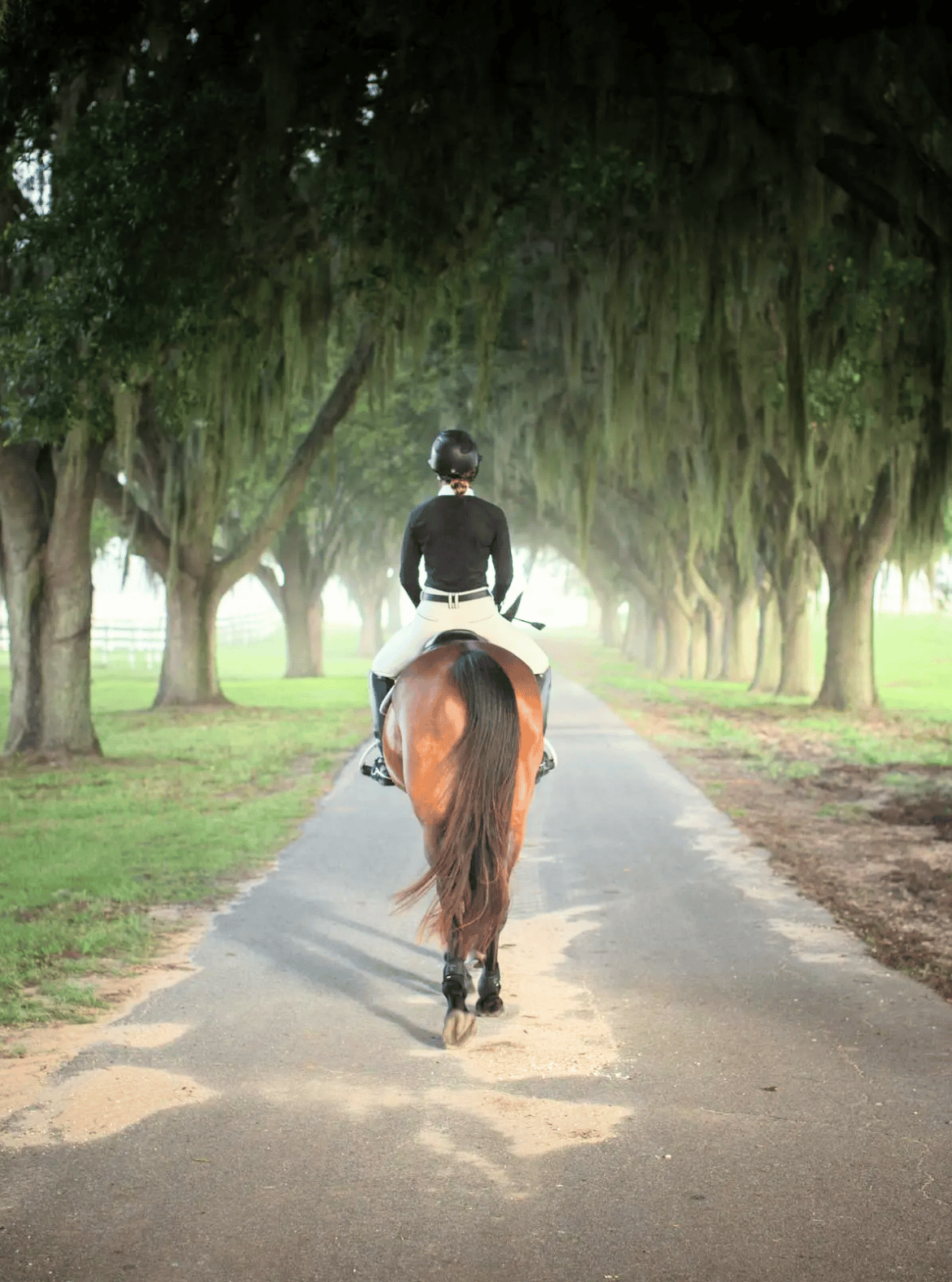 Equinavia Show Shirts - Sara
