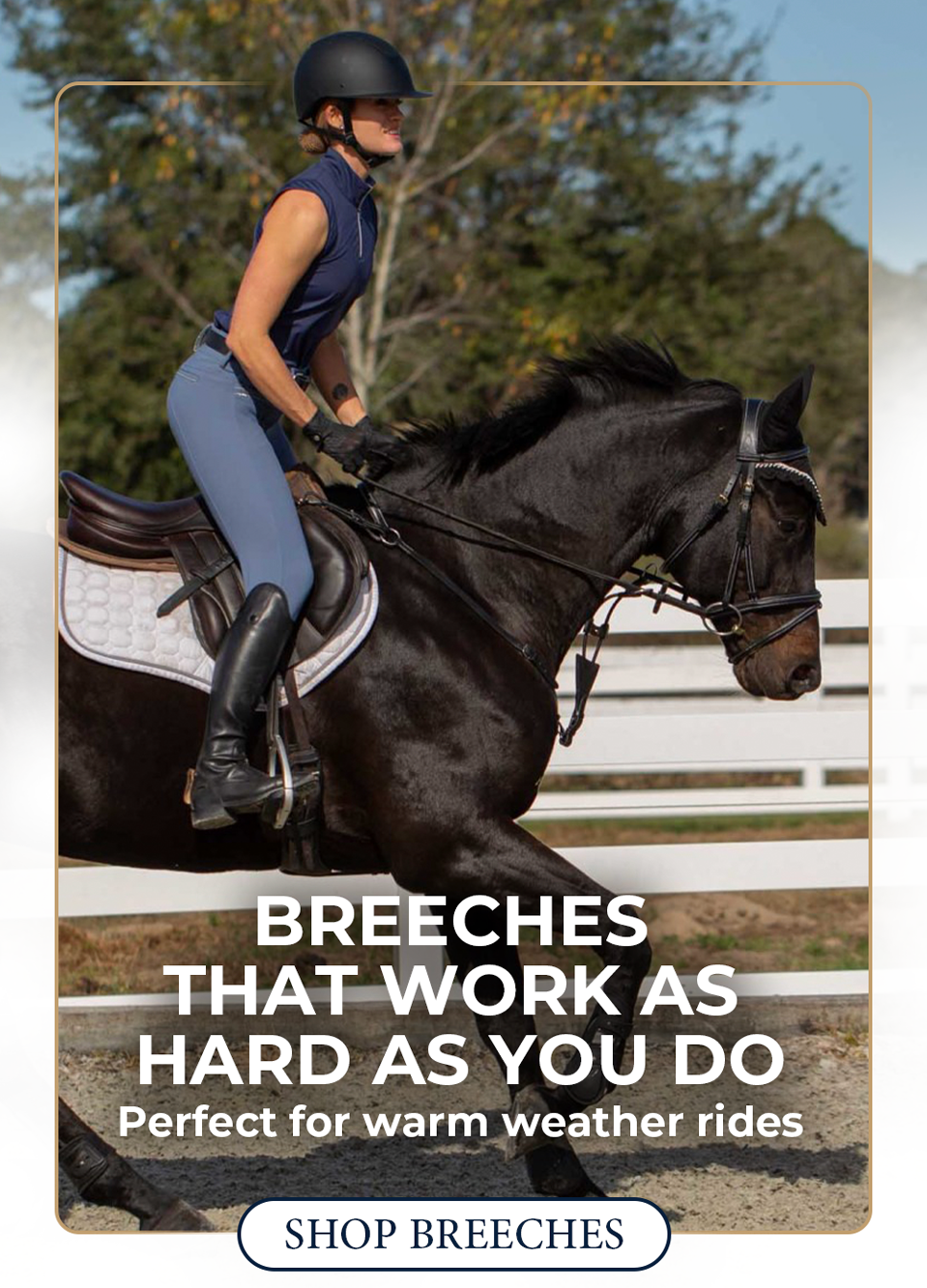 Summer Breeches from Equinavia