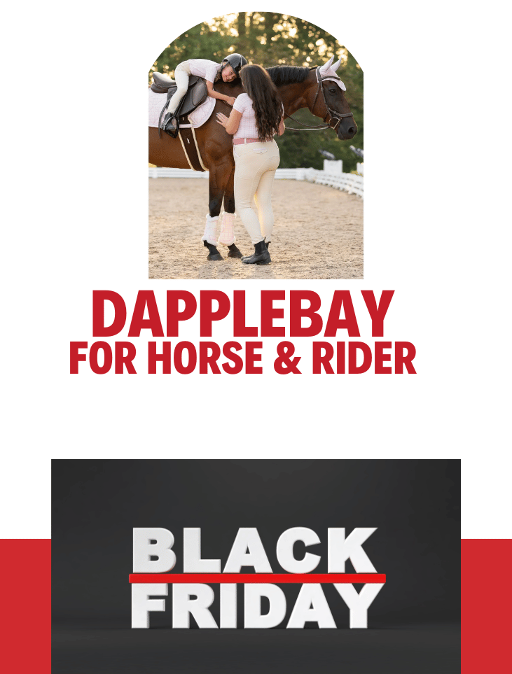Dapplebay for Horse & Rider