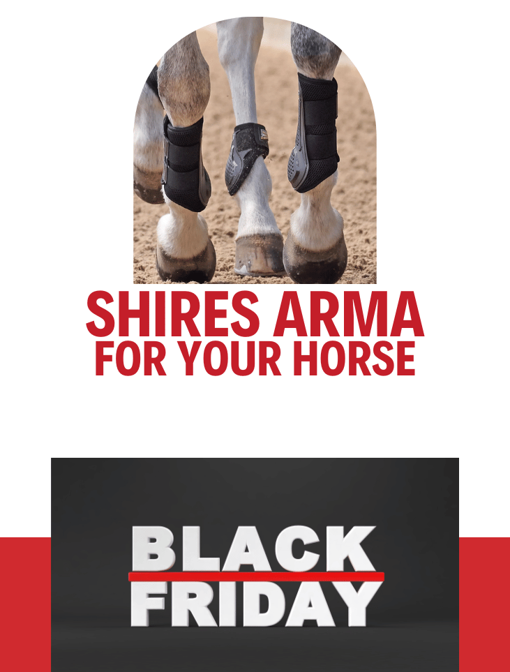 Shires Arma Shires Arma