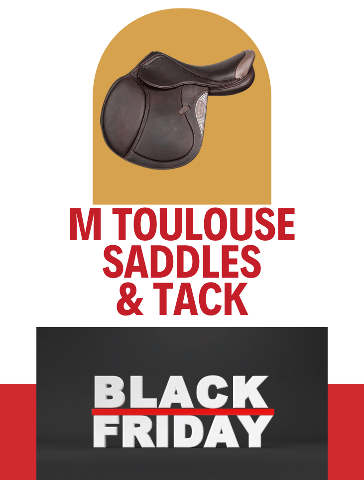 M. Toulouse 