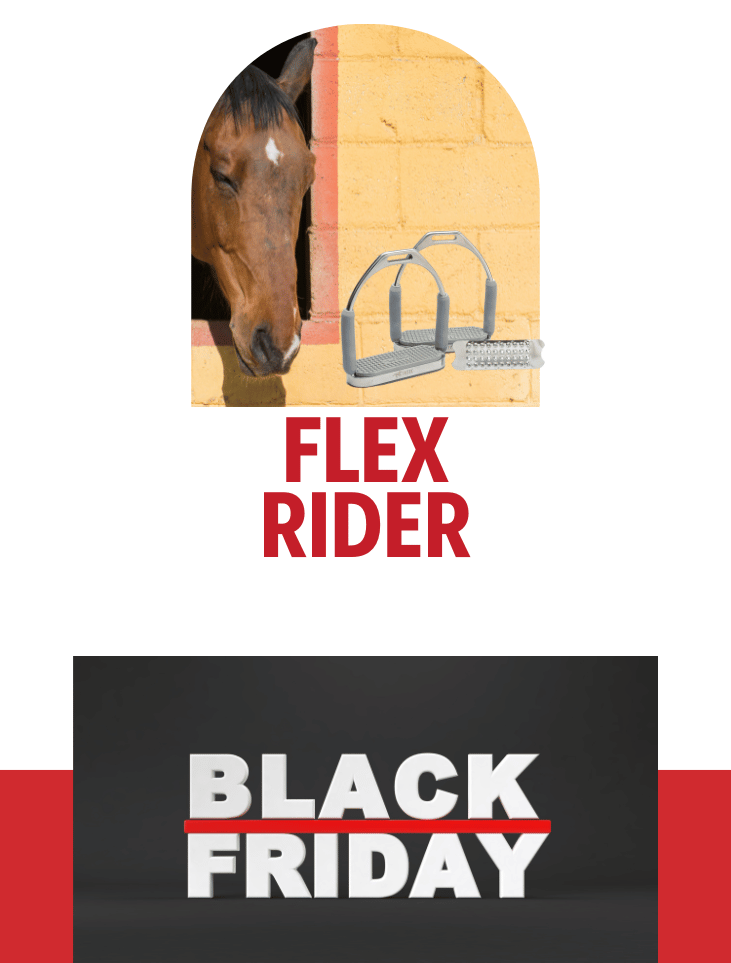 Flex Rider Flex Rider
