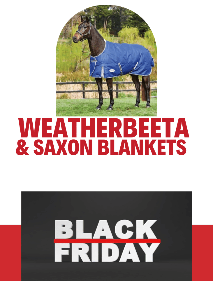 Weatherbeeta & Saxon Blankets
