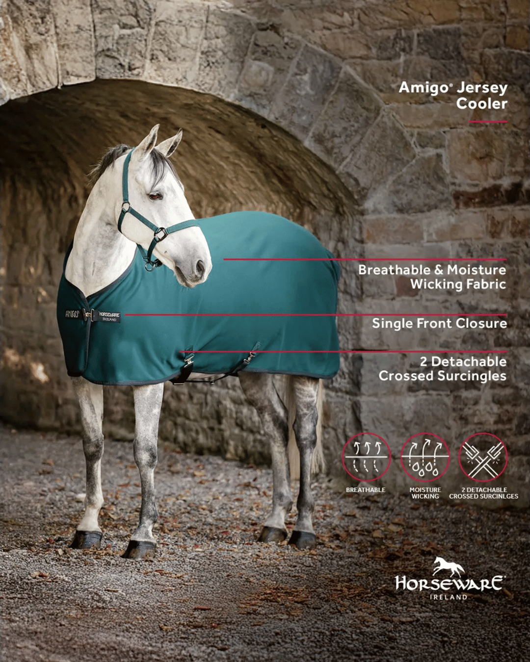 Amigo Jersey Cooler