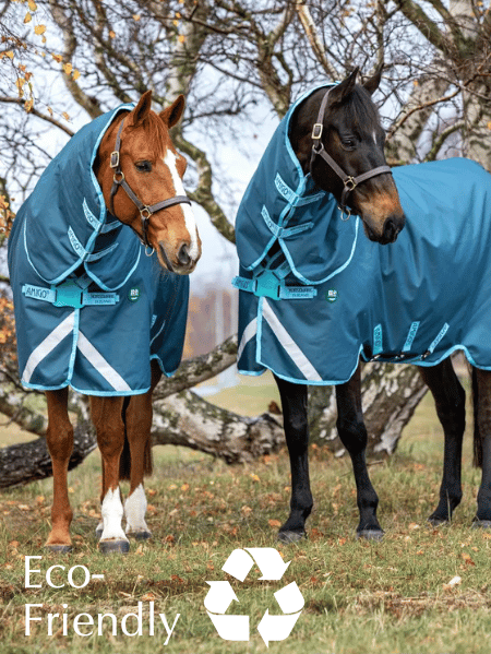 Shop for Eco Friendly Blankets for your Horse & Dog
