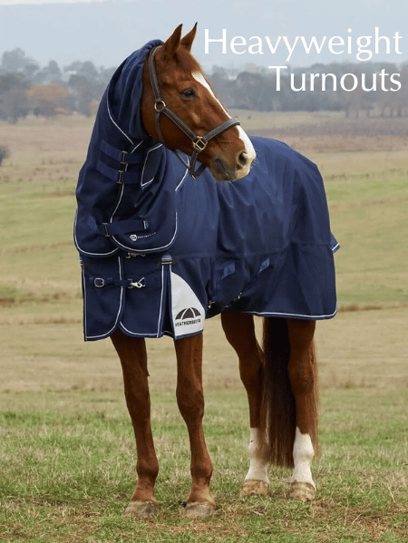 Shop for Heavyweight Turnout Blankets