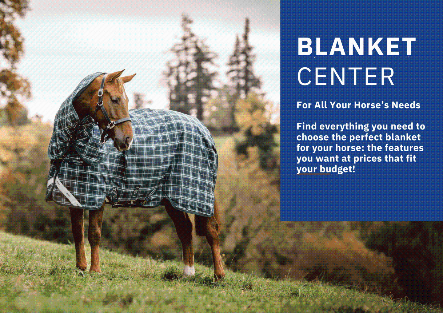 Horse Blanket Center