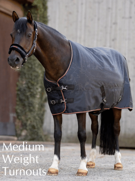 Shop for Medium Weight Turnout Blankets