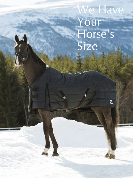 We have your horse's size