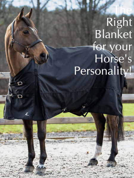 Get the Best Blanket for YOUR horse