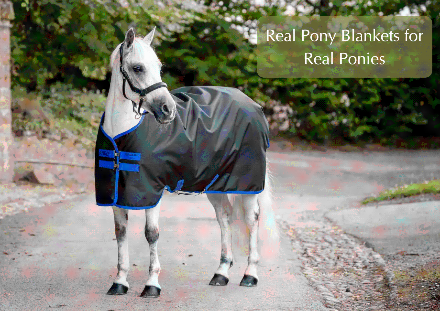 Pony Blankets