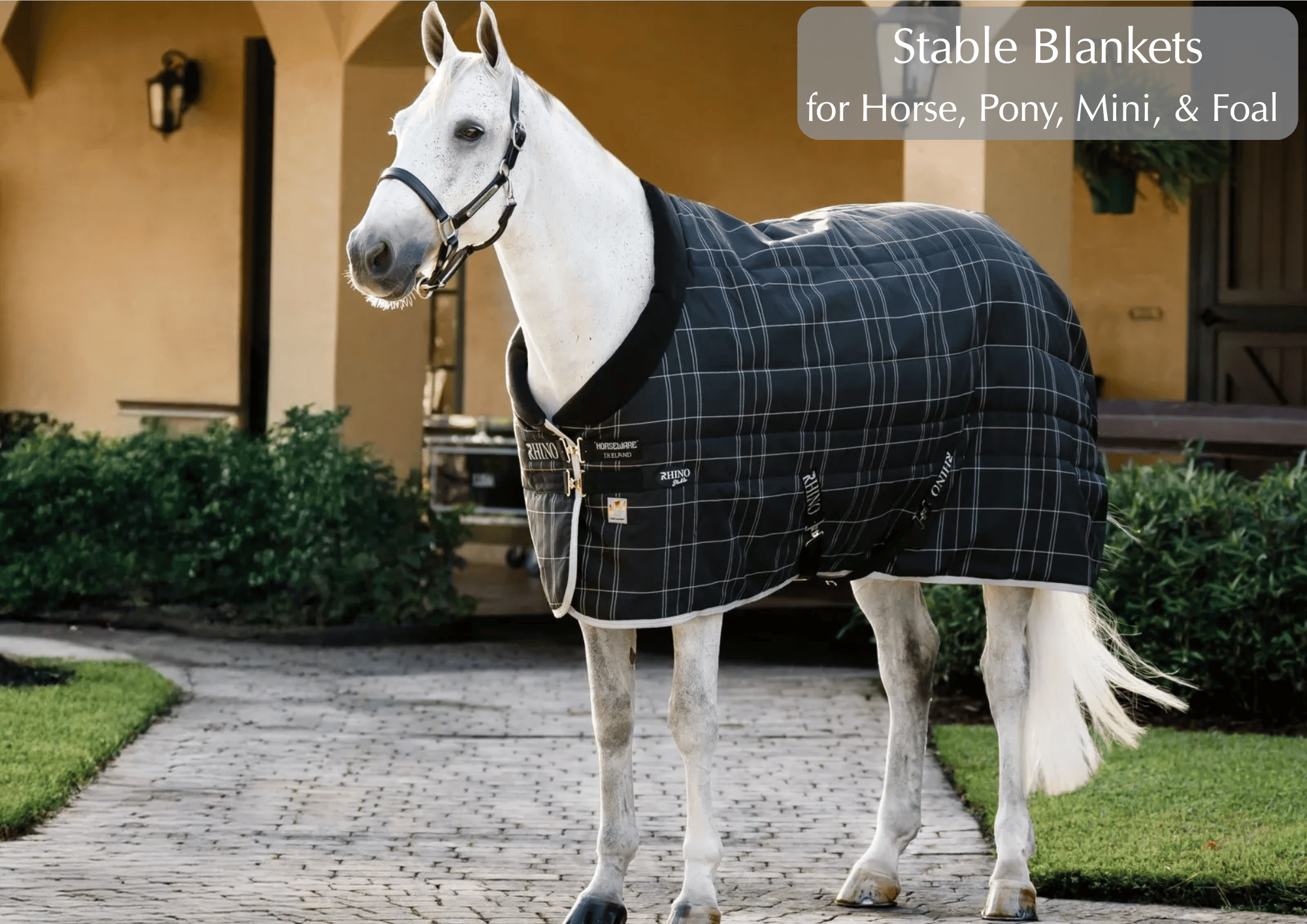Shop for Stable Blankets 