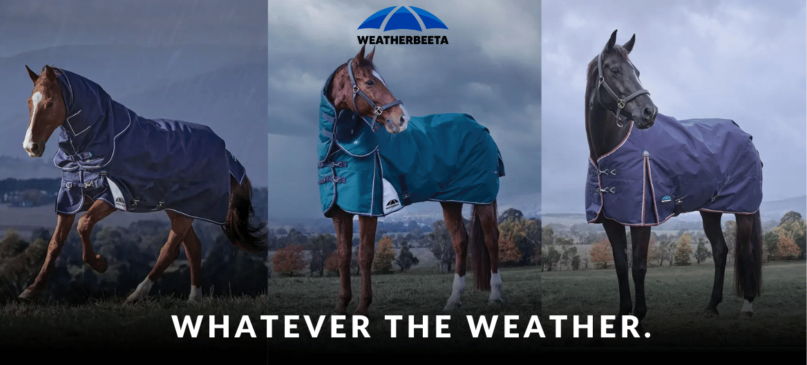 Weatherbeeta Turnouts