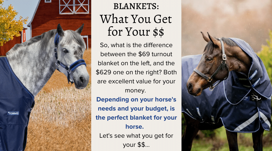 Blankets - What you Get for your Money