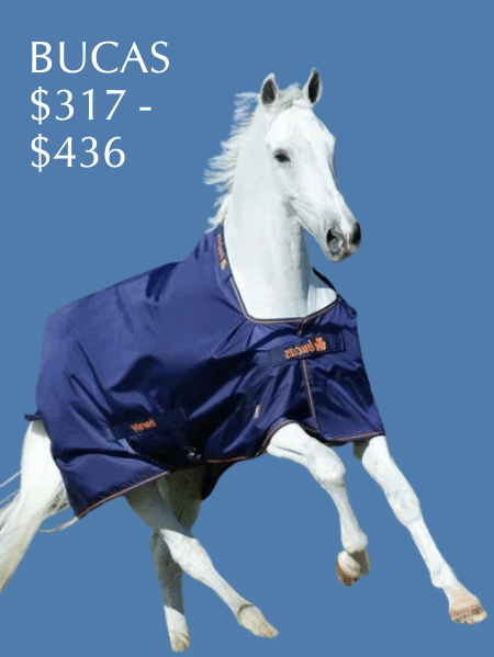 Shop for BUCAS Top of the Line Turnouts
