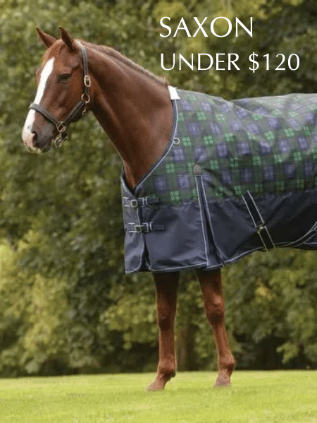 Shop for Saxon Horse Blankets