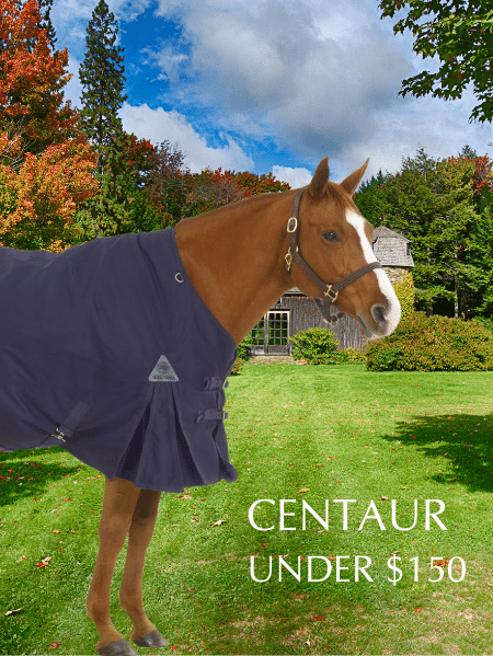 Shop for CENTAUR BLANKETS