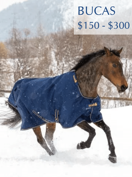 Shop for BUCAS Turnout Blankets