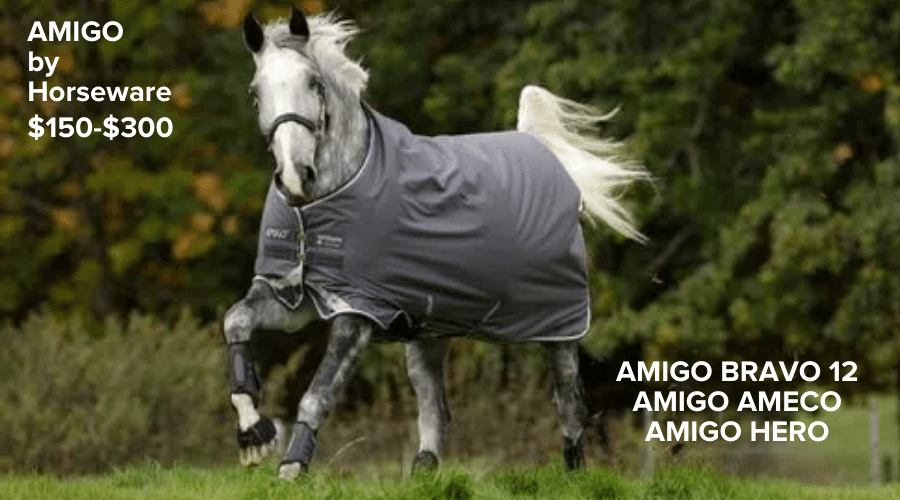 Shop for AMIGO Turnout Blankets