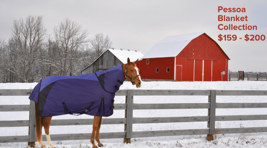 Shop for Pessoa Turnout Blankets