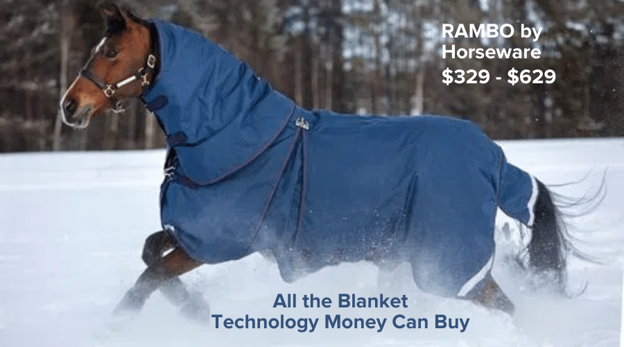 Shop for Turnout Blankets by Rambo