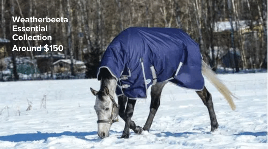 Shop for Weatherbeeta Essential Turnouts