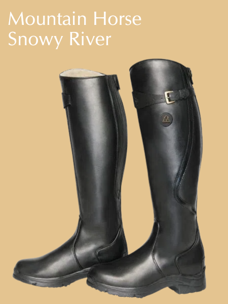 Mountain Horse Snowy River
