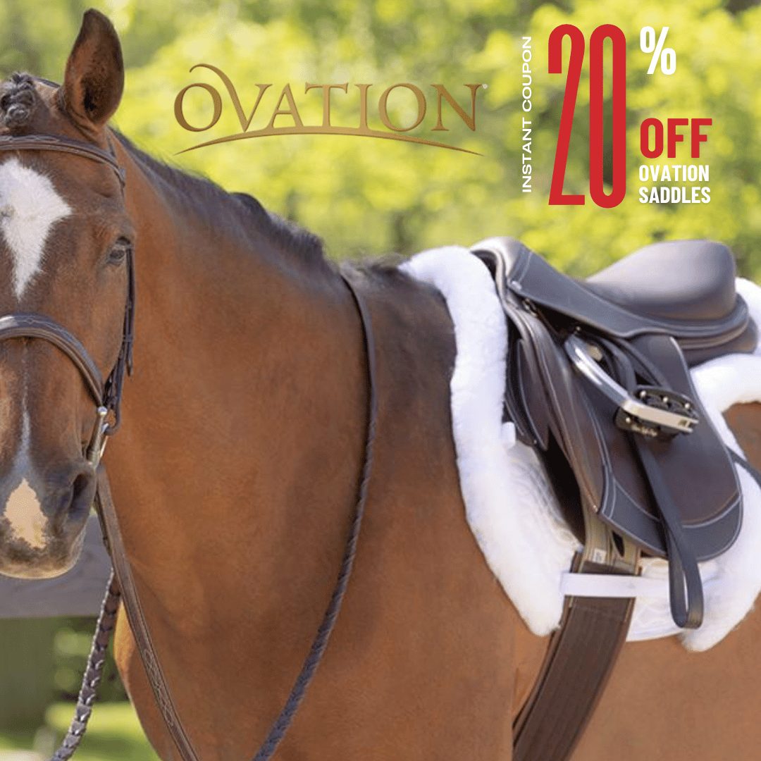 Ovation Saddles