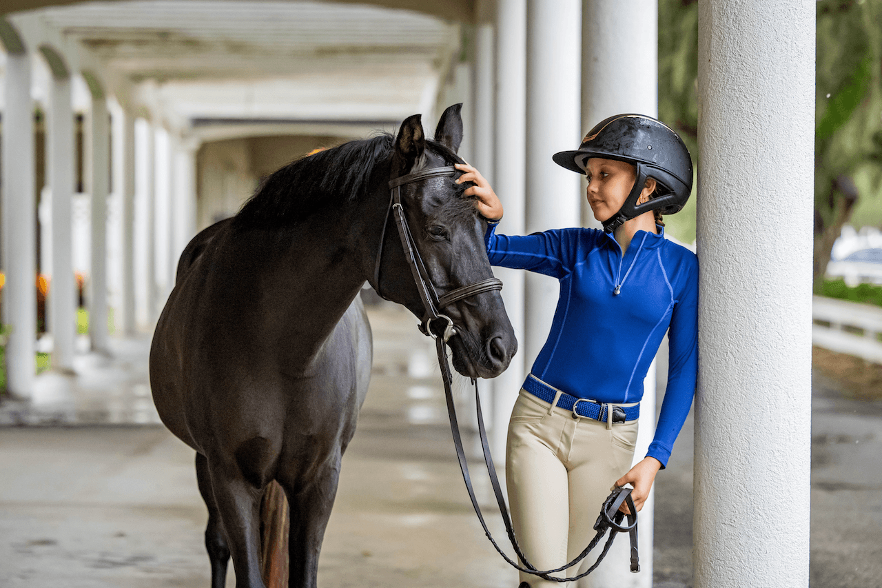 Ovation Vantage Helmets