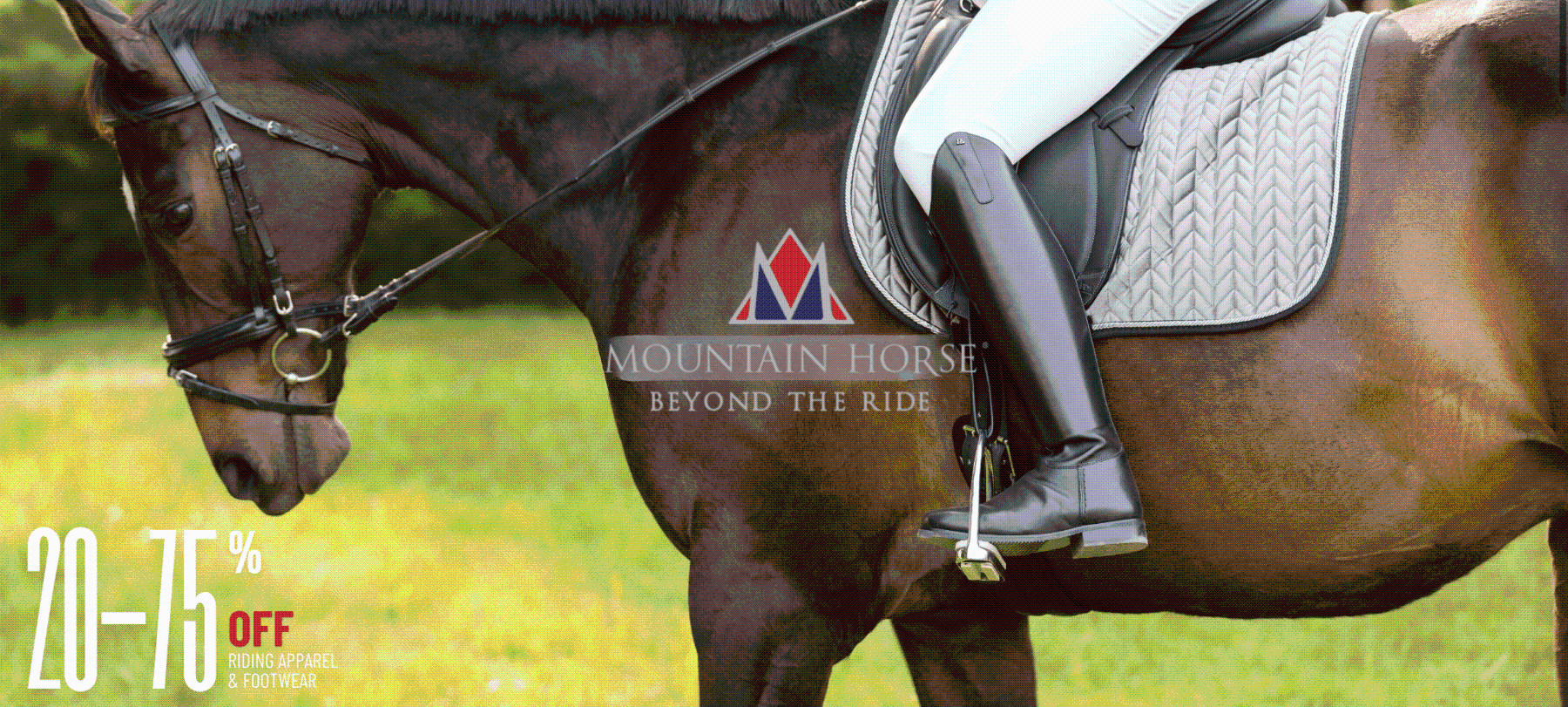 Shop All Mountain Horse