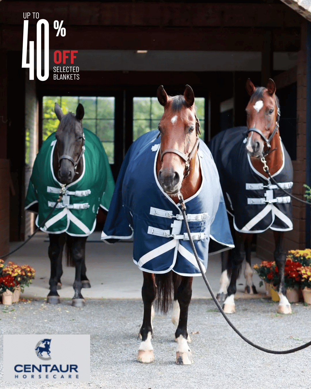 Up to 40% Off Centaur Horse Blankets & Coolers
