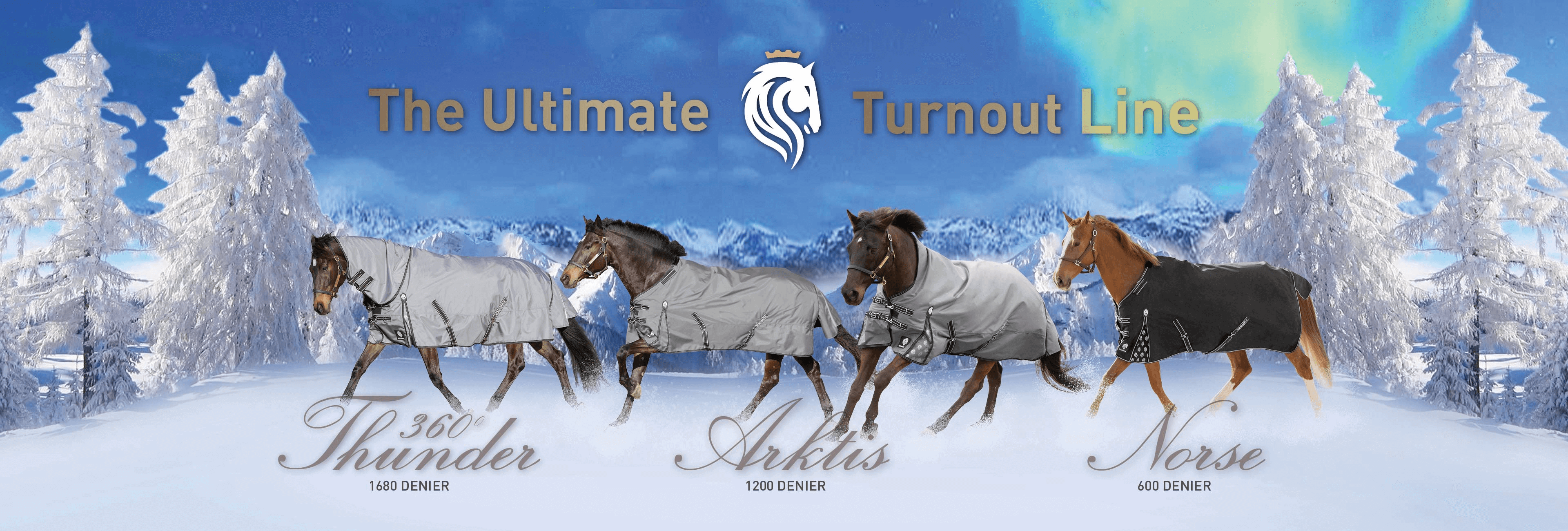 The Ultimate Turnout Line