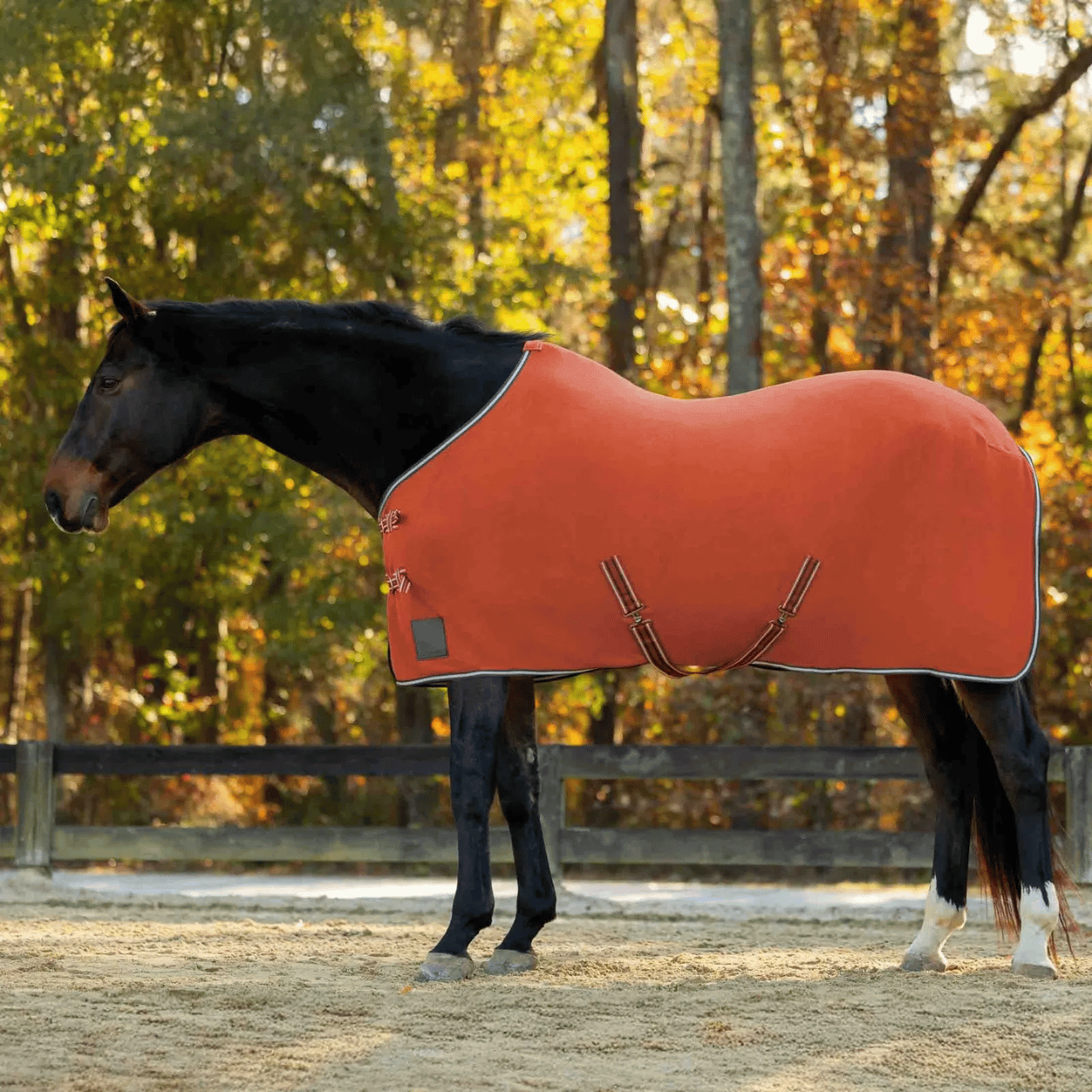 Equinavia Norse Fleece Cooler