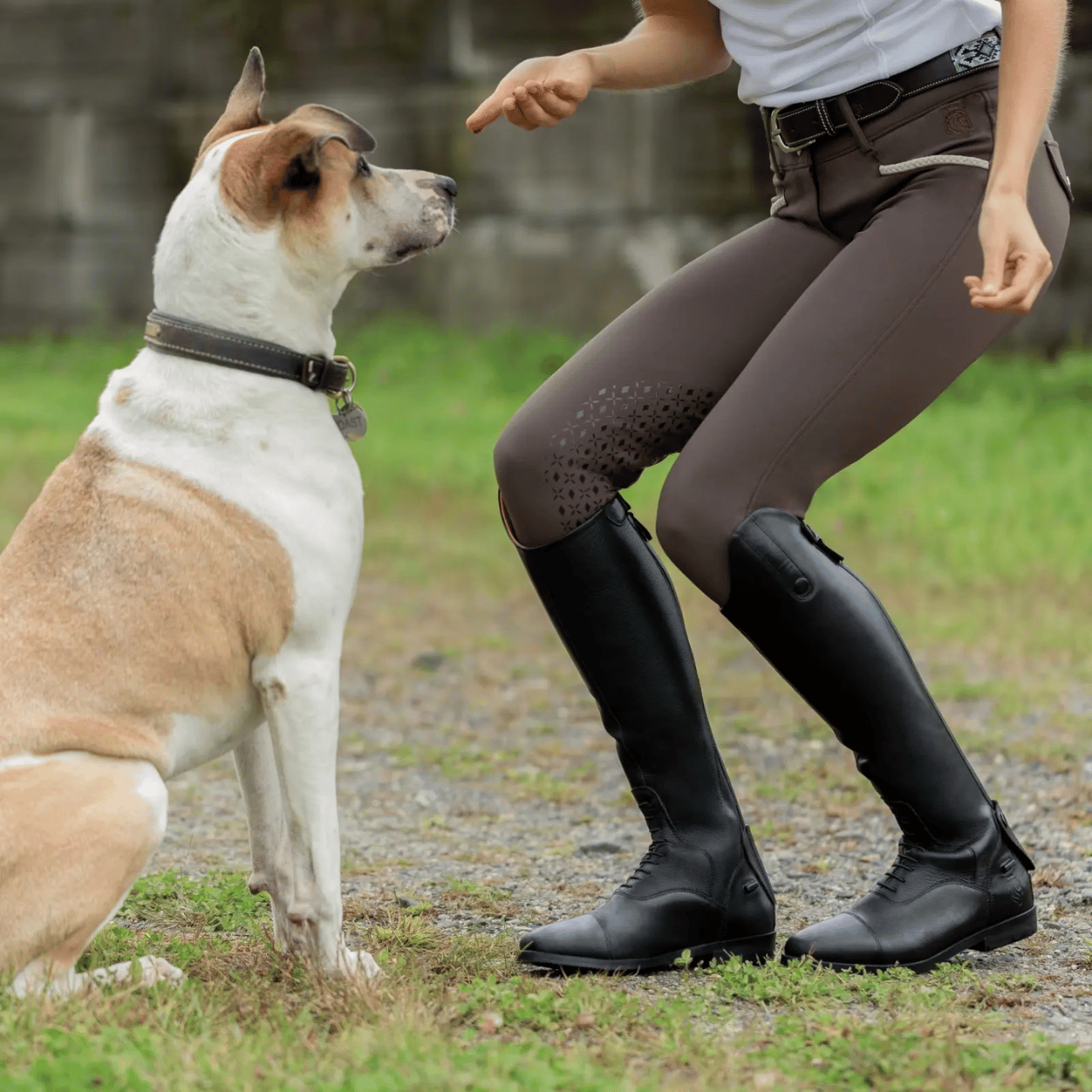 Equinavia Brands Field Boots