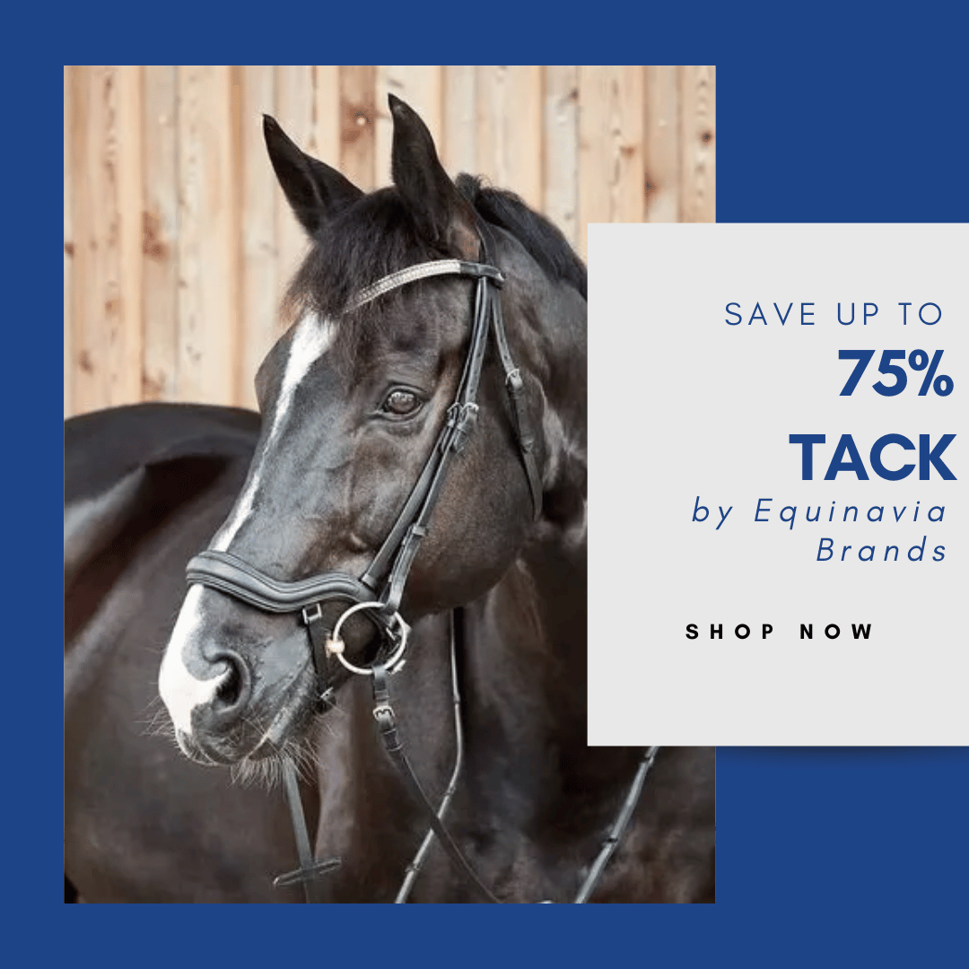 Save up to 75% on Equinavia Brands Tack