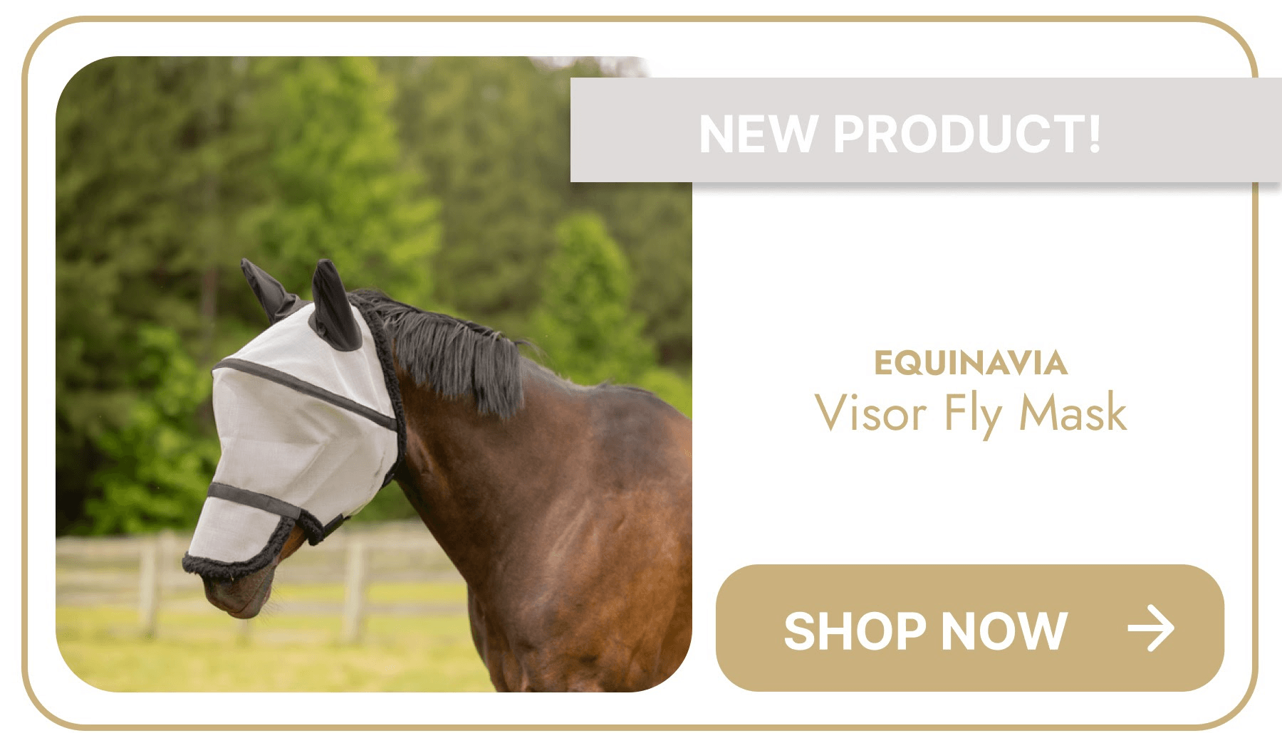 Equinavia Visor Fly Mask