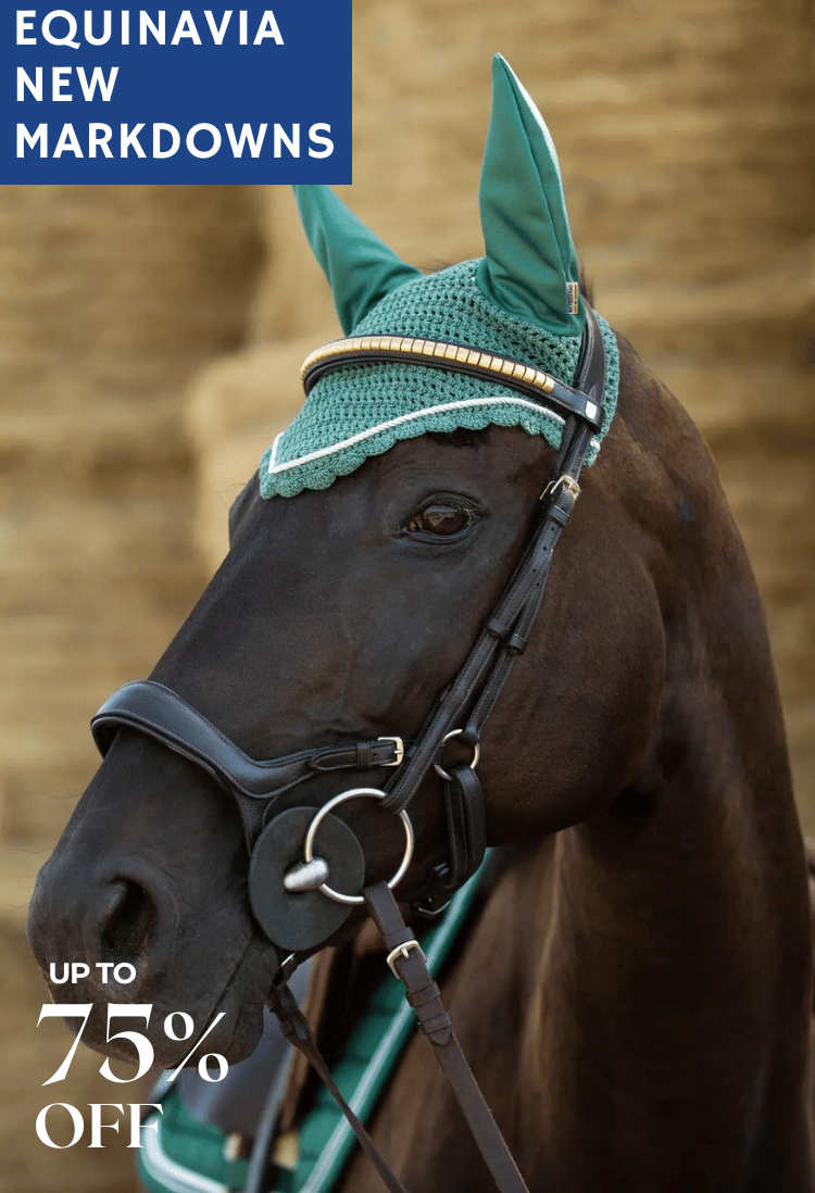 New Markdowns for the Horse