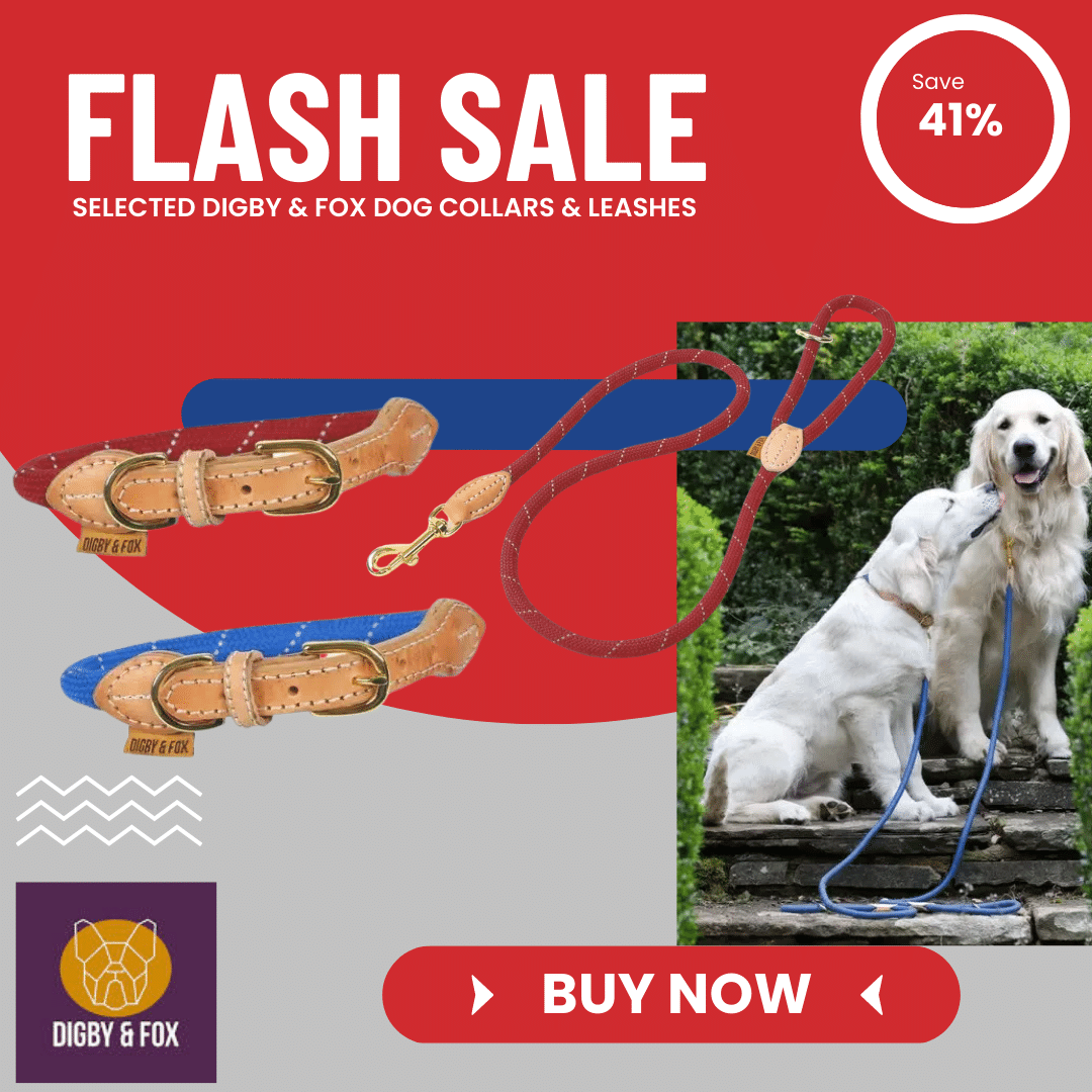 Shop for Digby & Fox Shop for Digby & Fox