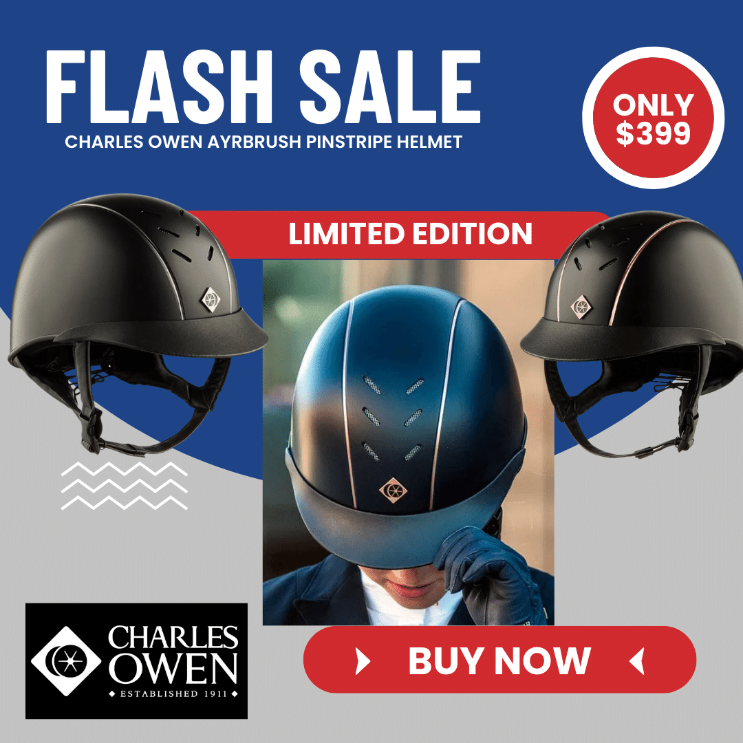 Charles Owen Ayrbrush Pinstripe Helmet - $299 - $20% Off Charles Owen Ayrbrush Pinstripe Helmet - $299 - $20% Off
