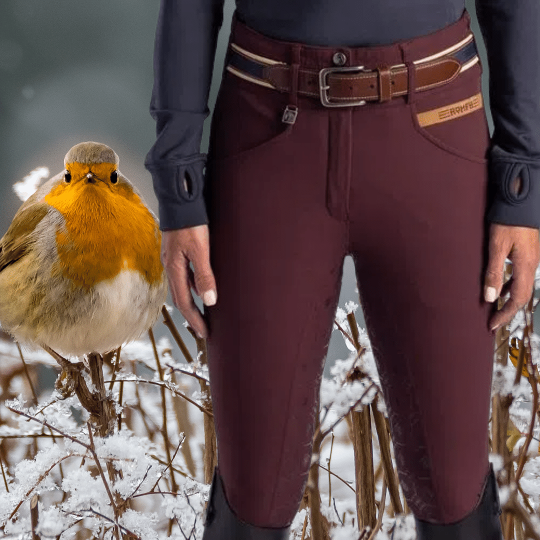 Shop for Winter Breeches Shop for Winter Breeches