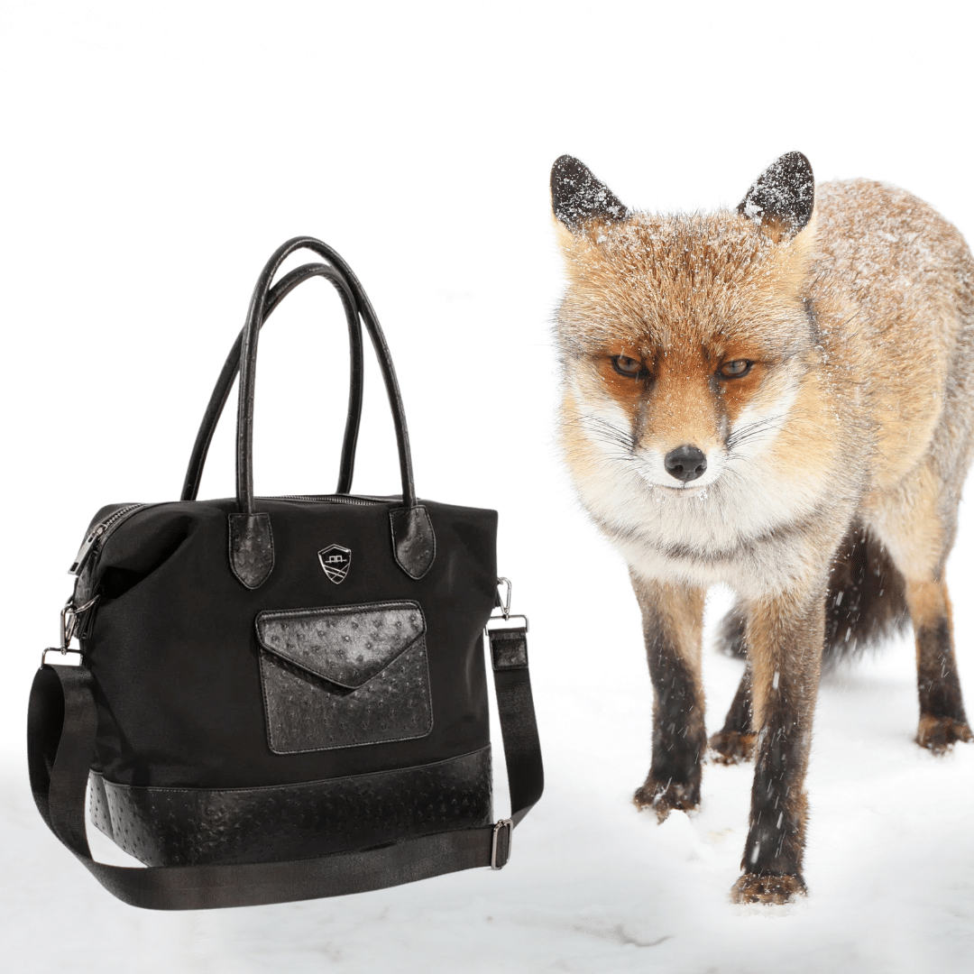 Shop for Luggage & Bags