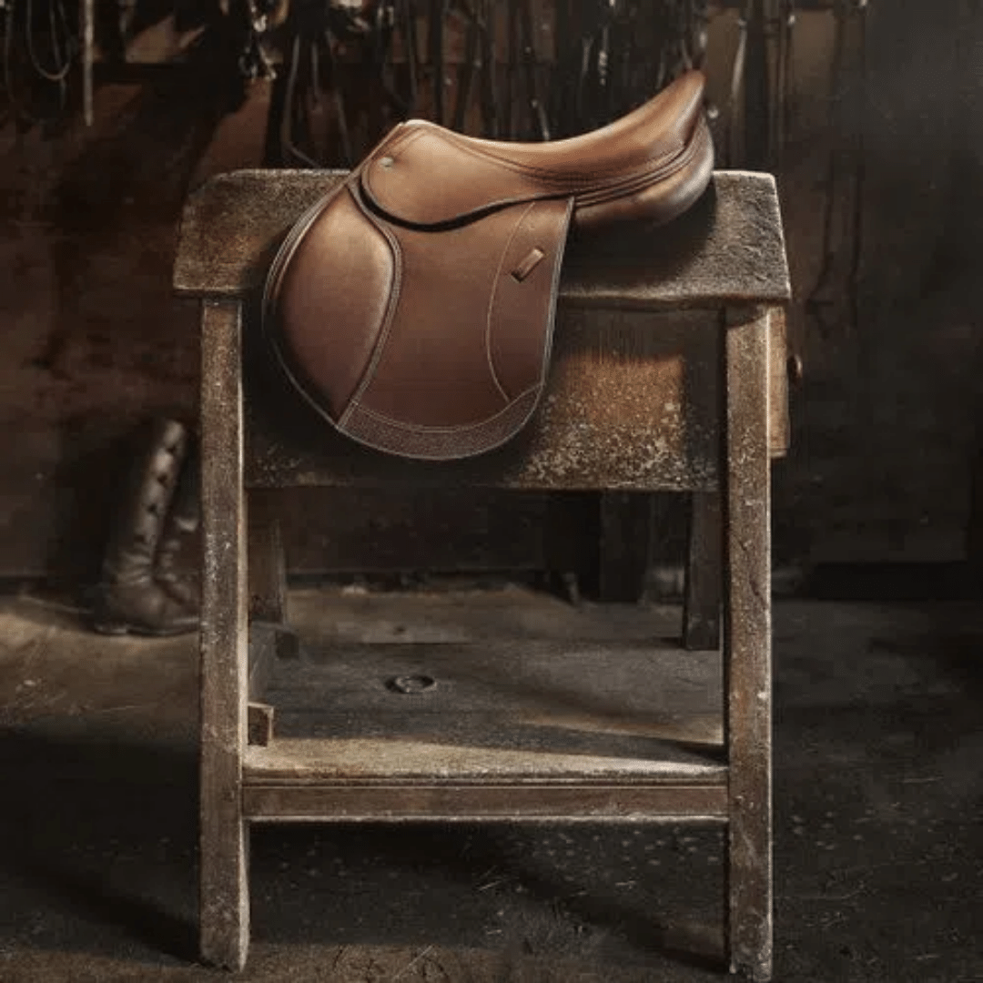 Dream Gift - Saddles
