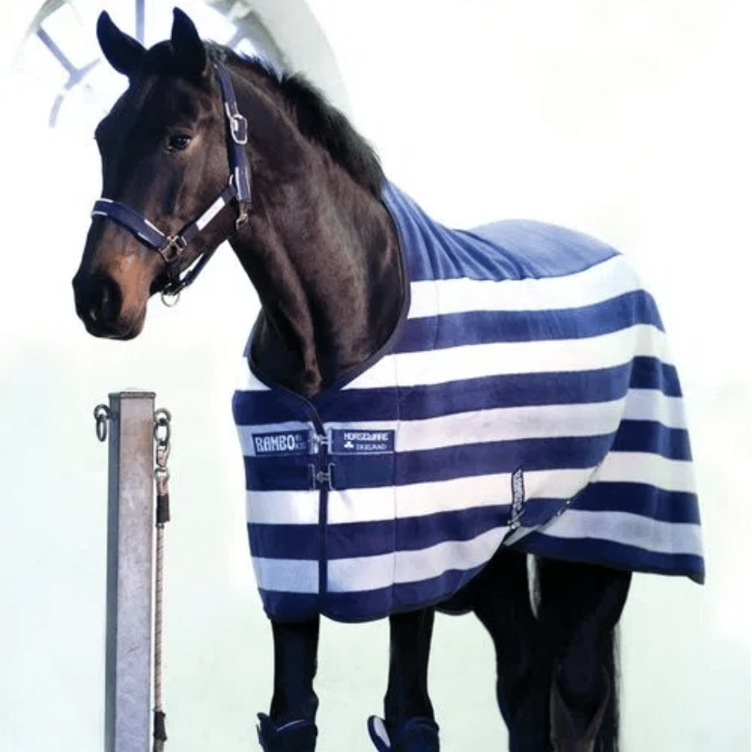 Cozy Coolers for your Horse Cozy Coolers for your Horse