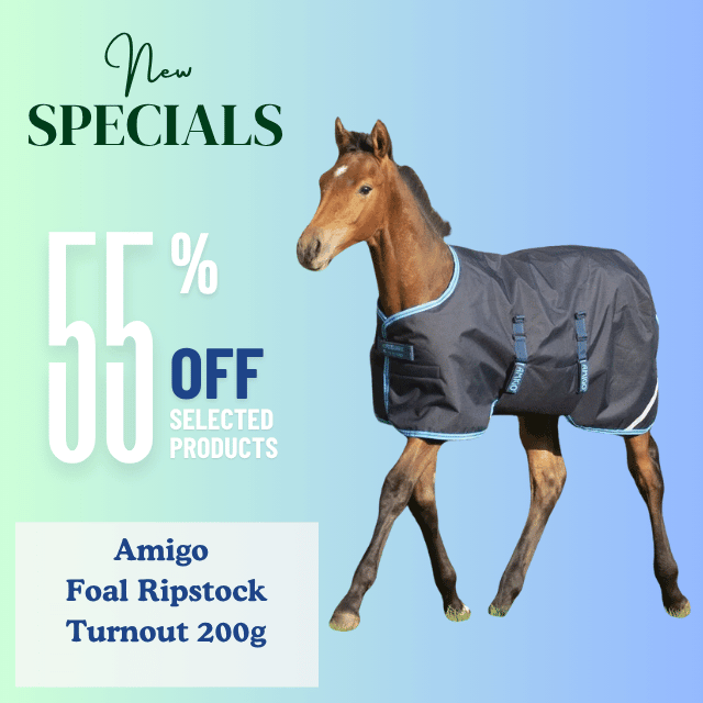 Amigo Foal Ripstock Turnout
